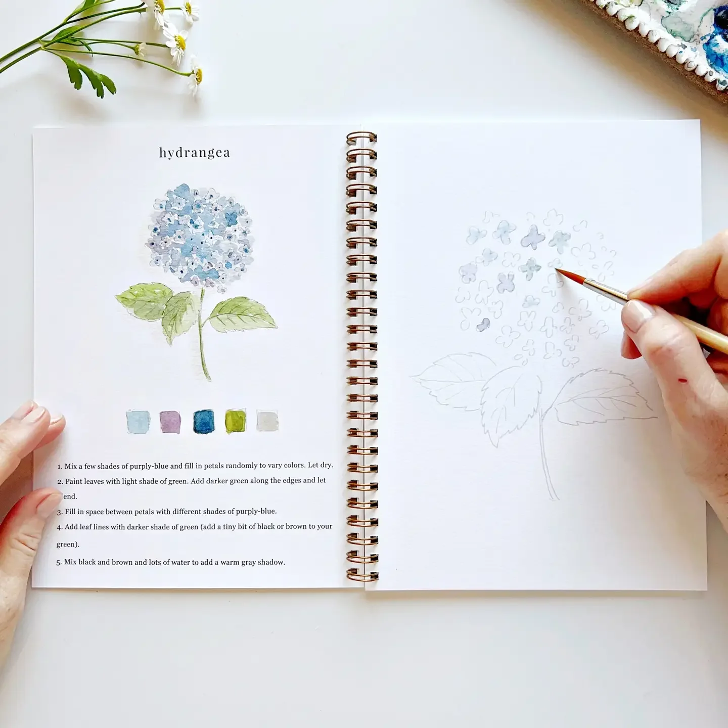 Flowers Watercolor Workbook3.webp