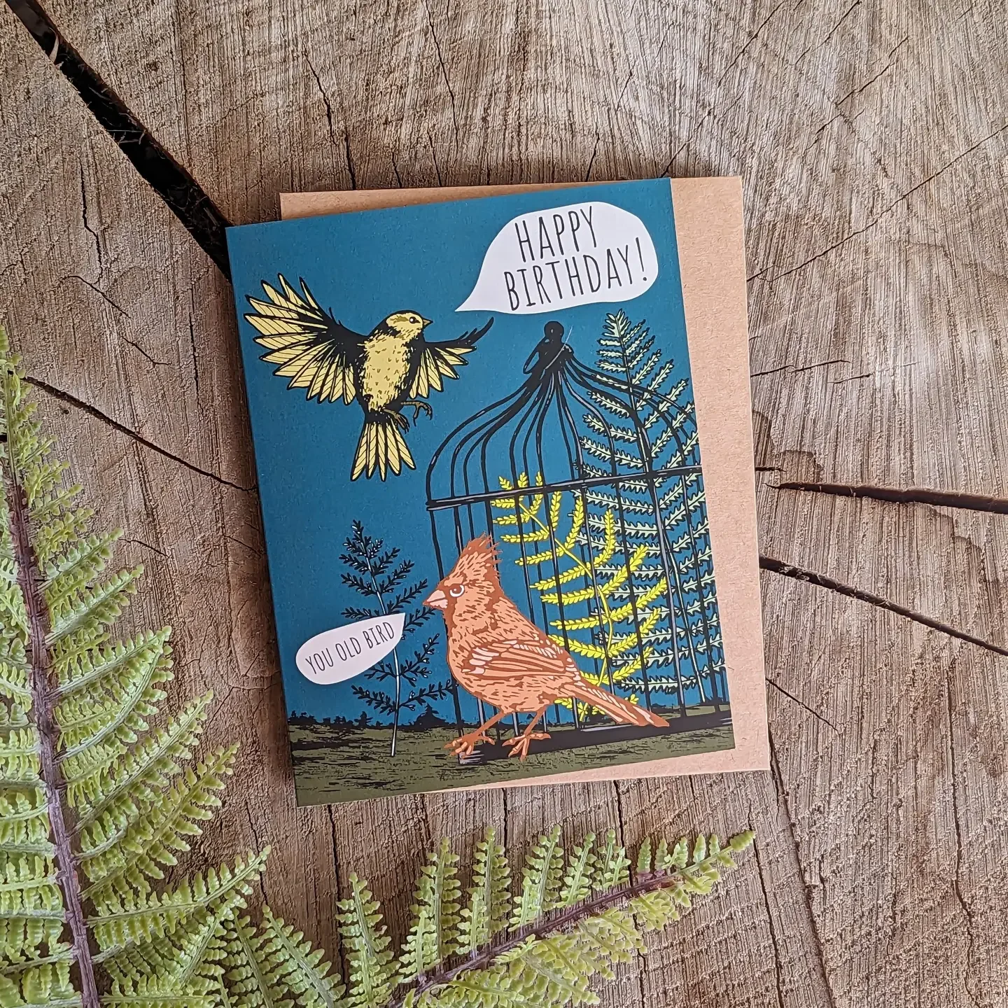 Greeting card | happy birthday you old bird