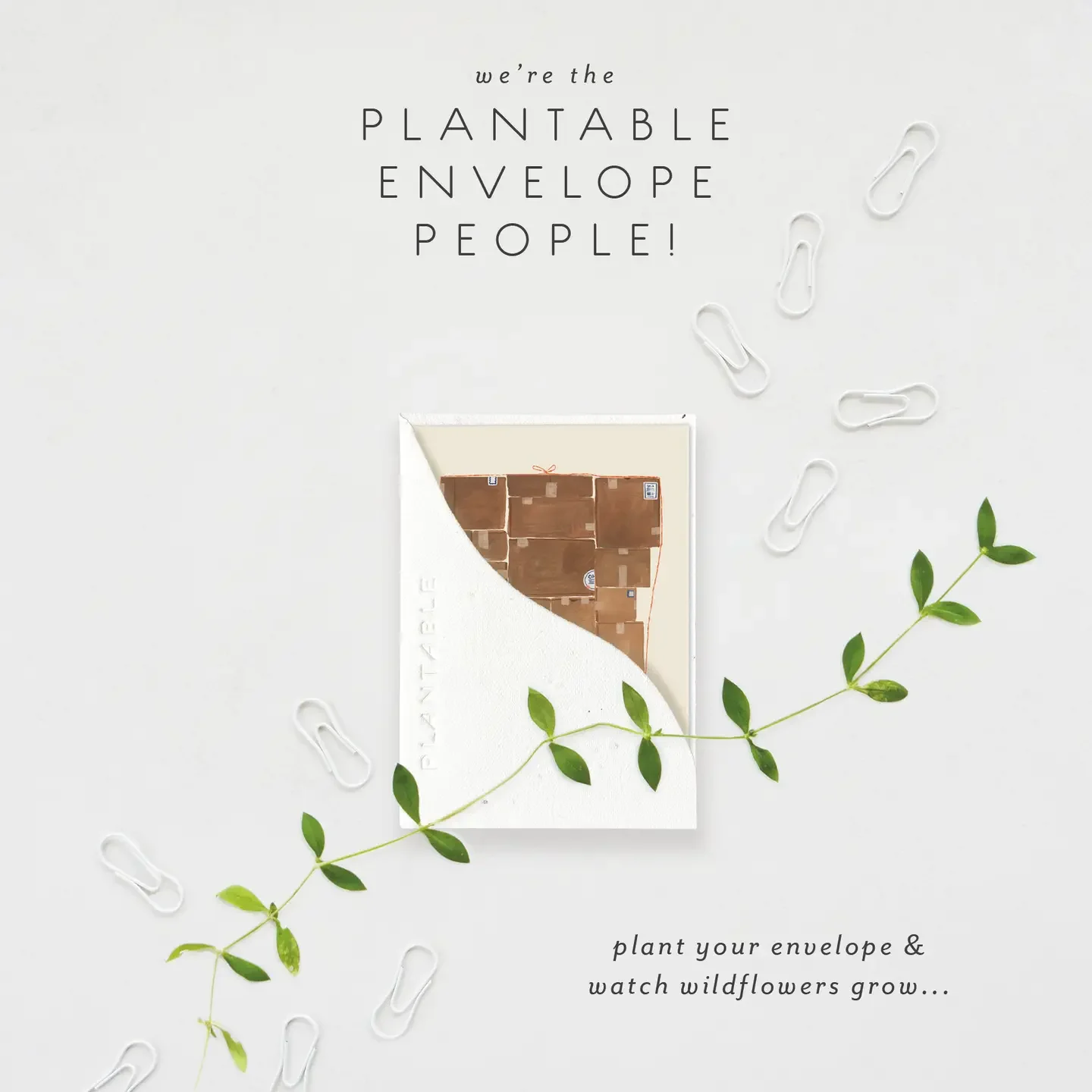 Let Me Carry Sprout- Encouragement Mini Greet2.webp