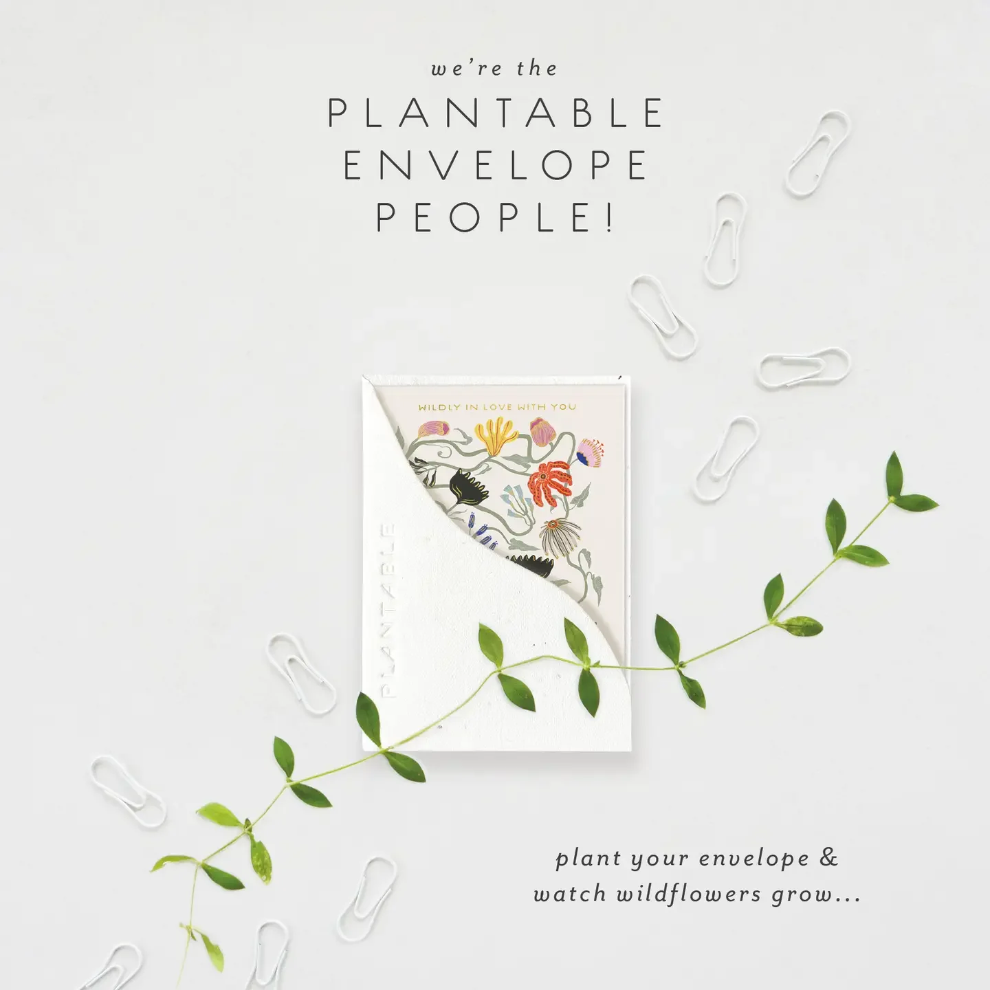 Wildly In Love Sprout - Love + Friendship Mini Greeting Card2.webp