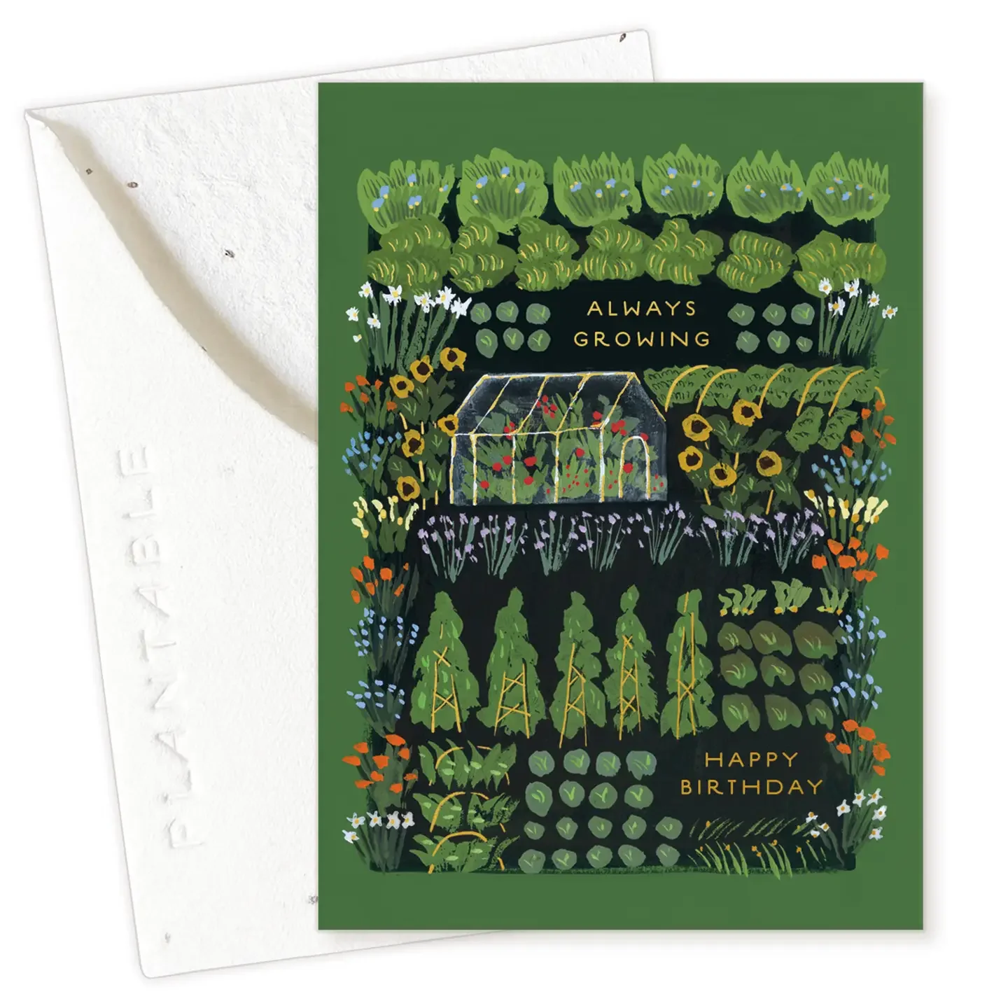 Garden Greenhouse Sprout - Birthday Mini Greeting Card