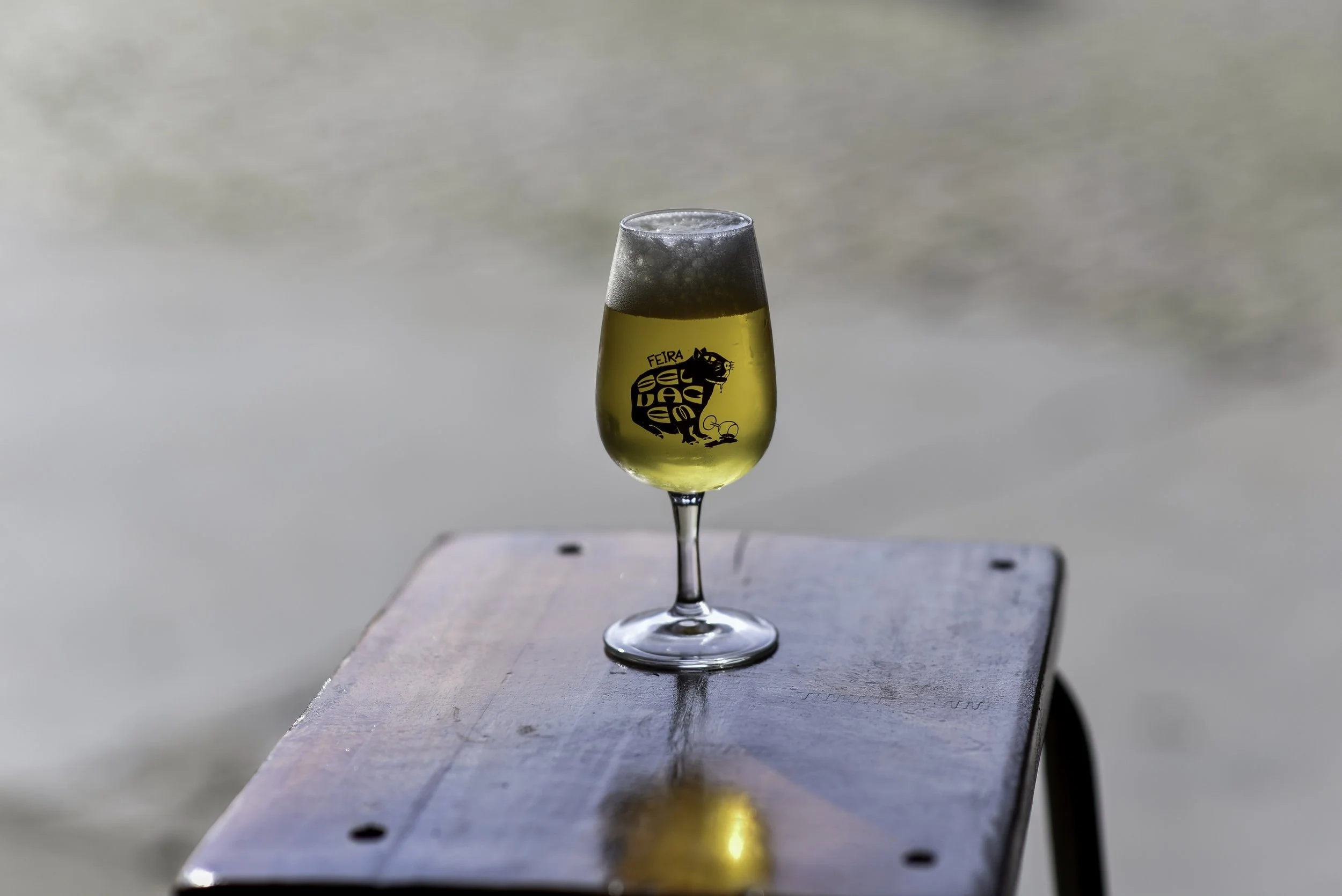 Encontro Selvagem - Brazil