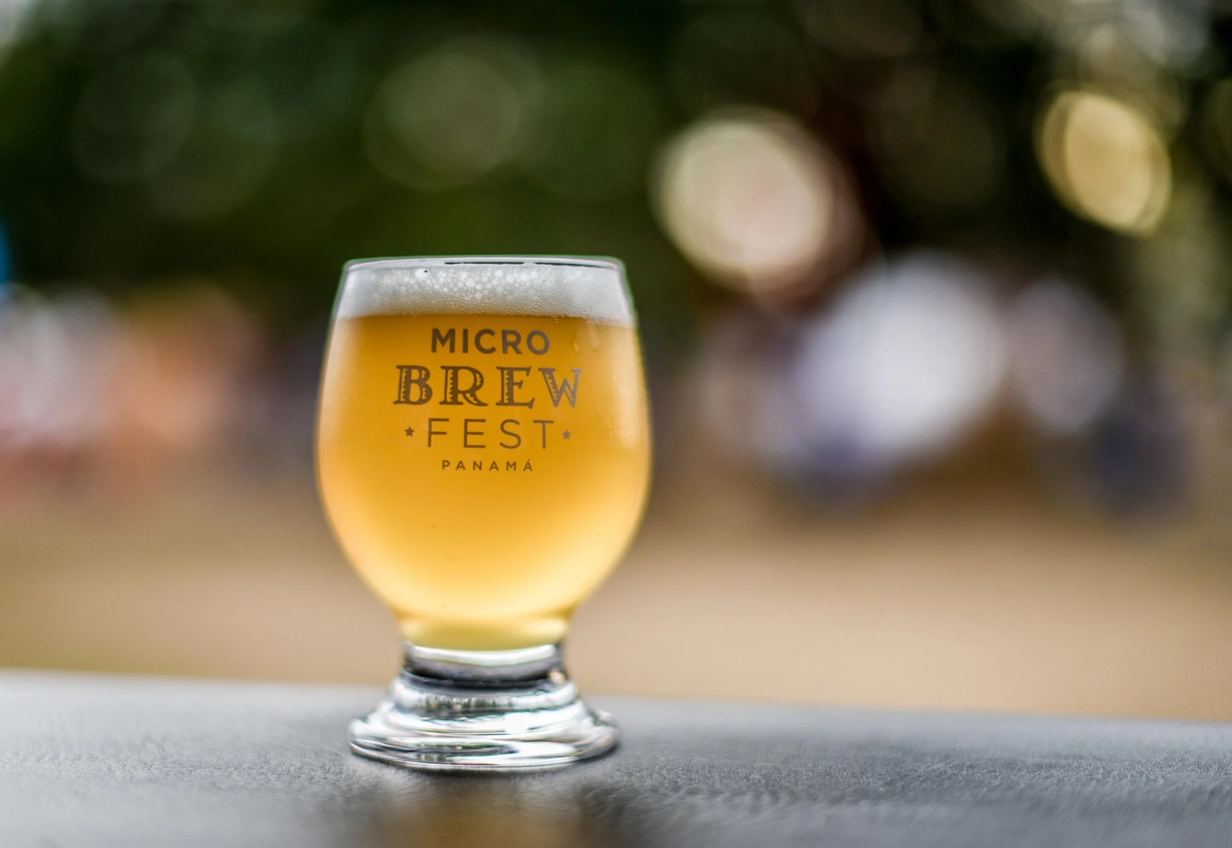 Micro Brew Fest - Panama