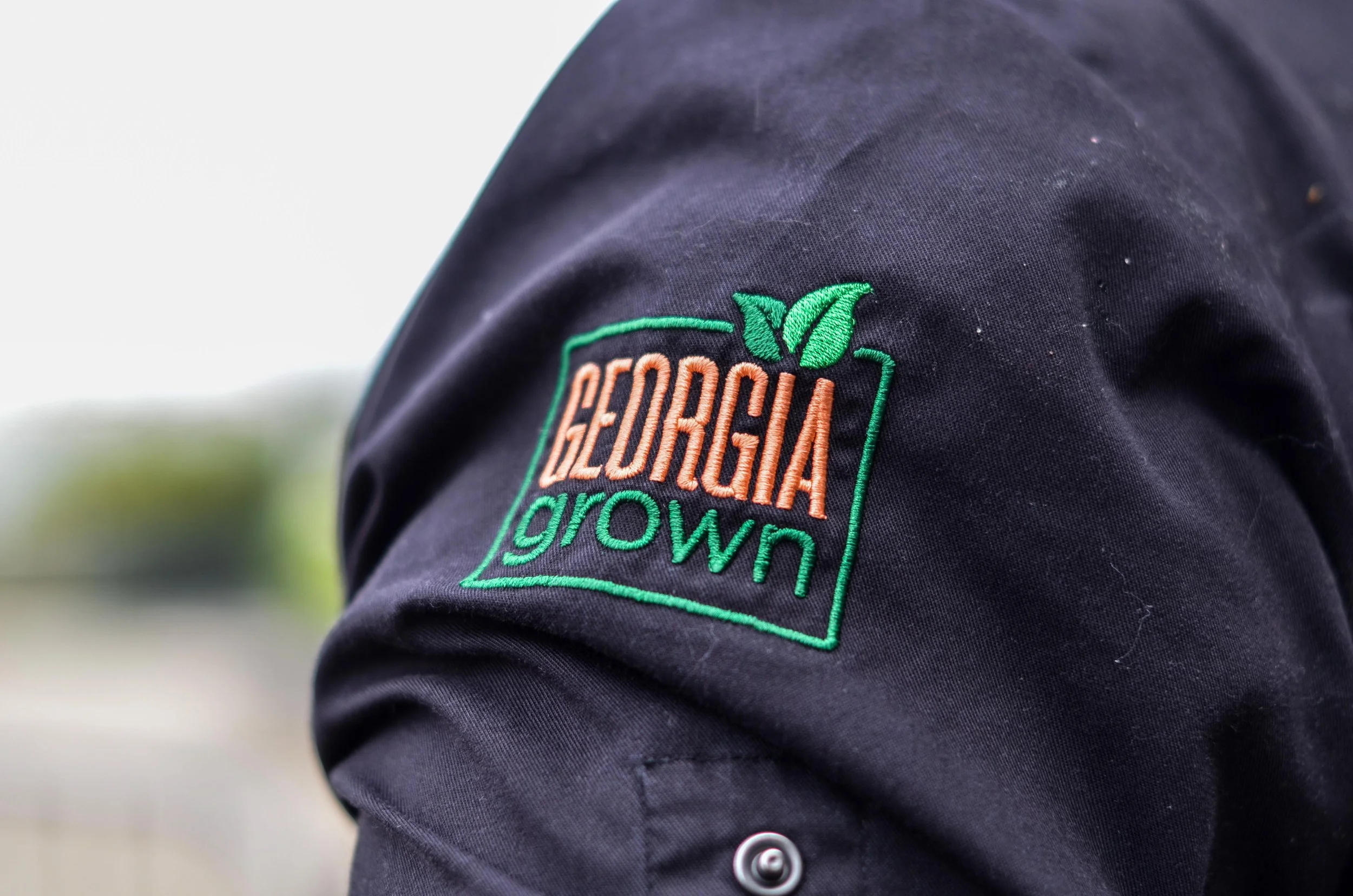 Taste of Georgia - NYC