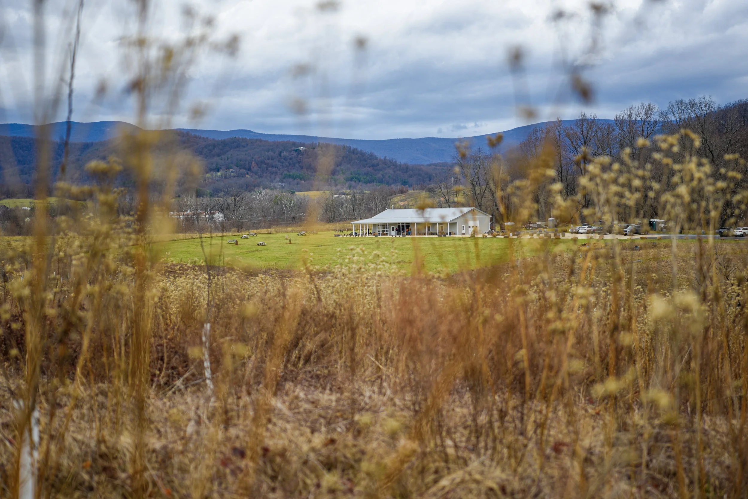 Pen Druid Fermentation - USA