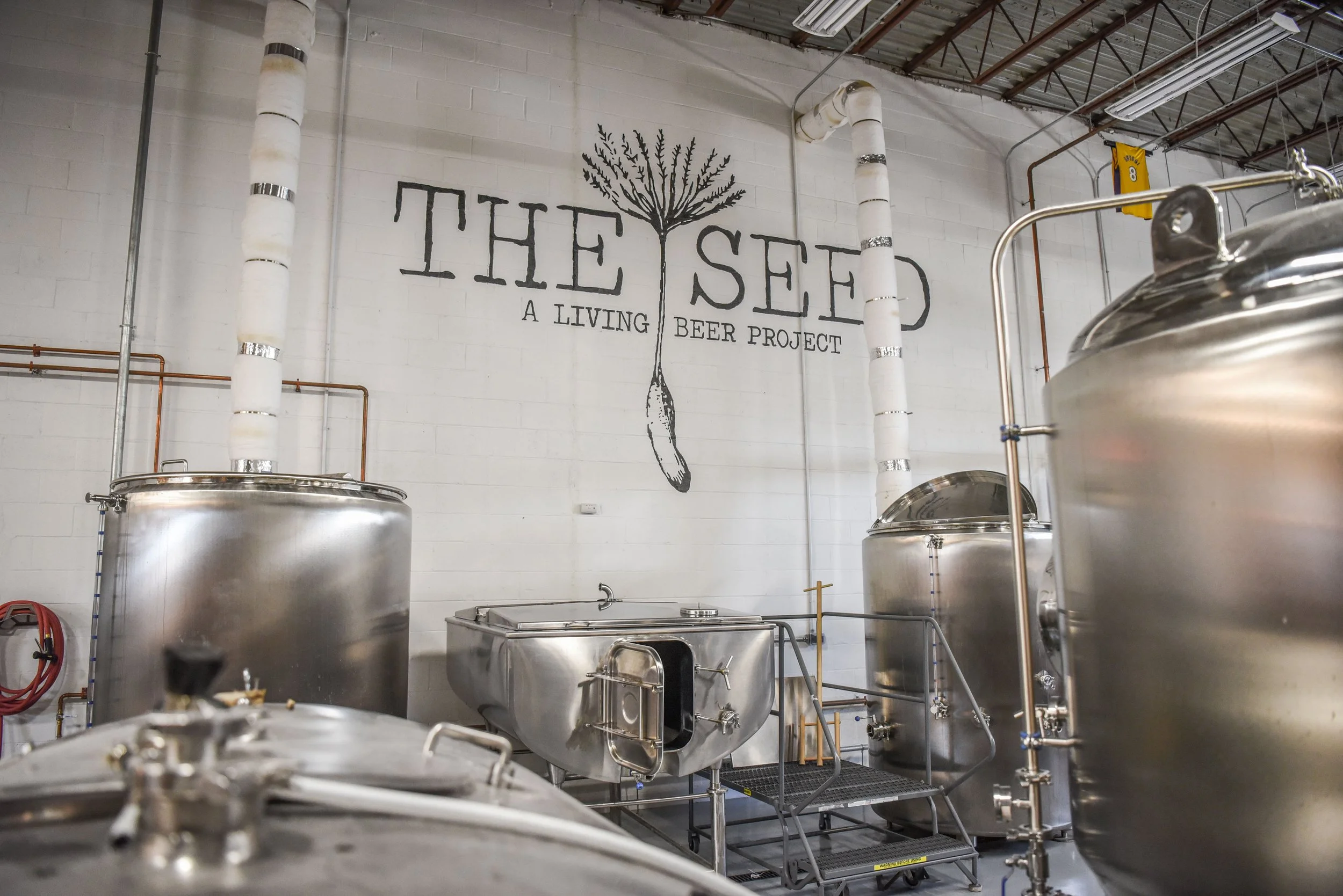 The Seed - USA