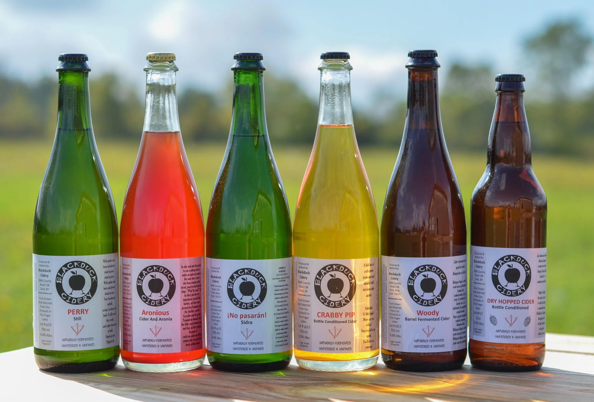 Black Duck Cidery - USA