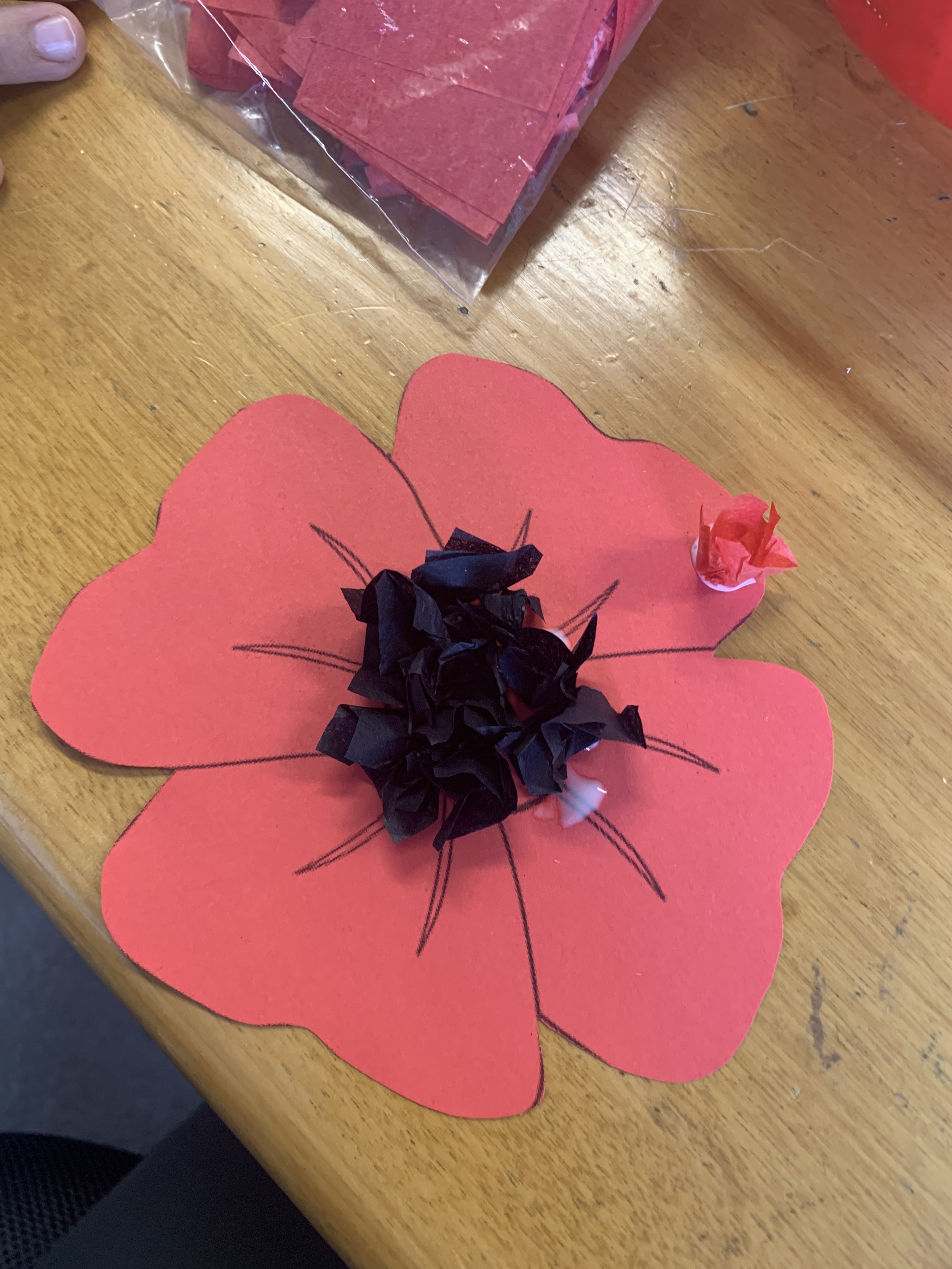 Beach resident selling large tissue paper poppies to raise funds in advance  of Remembrance Day – Beach Metro Community News