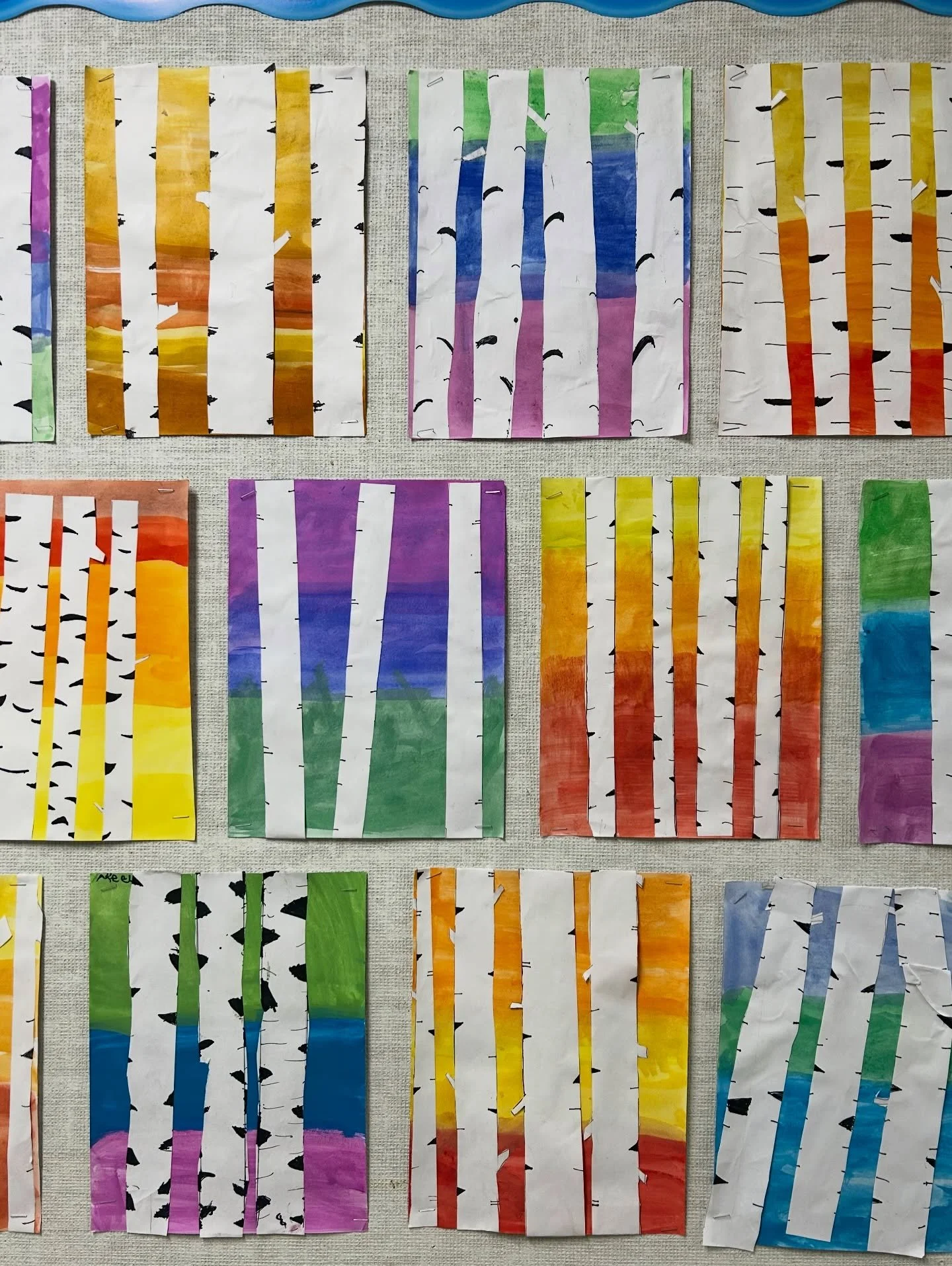 Birch tree results this year.