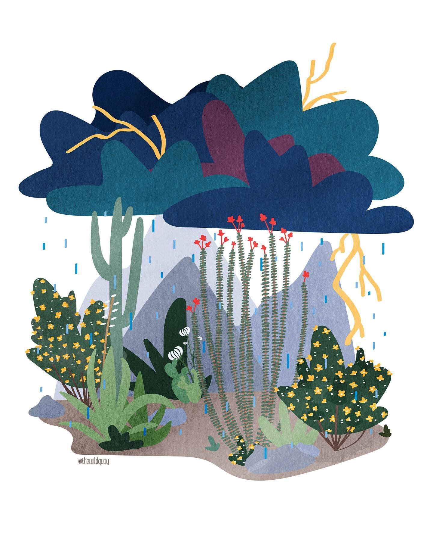 Monsoooons ⛈

Ahh, monsoon season &ndash; the exciting relief to the desert summer heat. I love watching these storms roll in and always have &ndash; the lightening flashes, booming thunder, rain, and the smell (AZ peeps, you know). There&rsquo;s som
