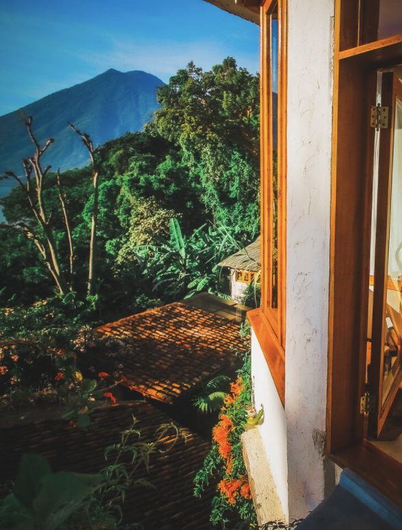 Screen Shot 2021-08-14 at 7.24.46 PM.png