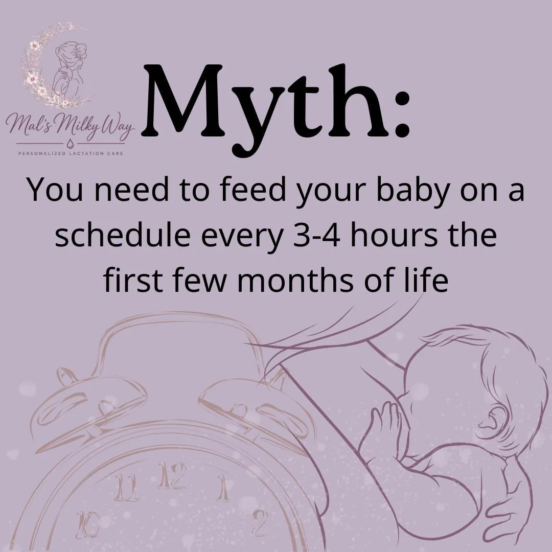 ✨Myth Monday✨

Have you ever heard that you should feed your baby on a schedule?!

There are STILL pediatric providers today that tell families this.

If you actually look at the content of our milk, it&rsquo;s mainly water! Meaning, our babies shoul