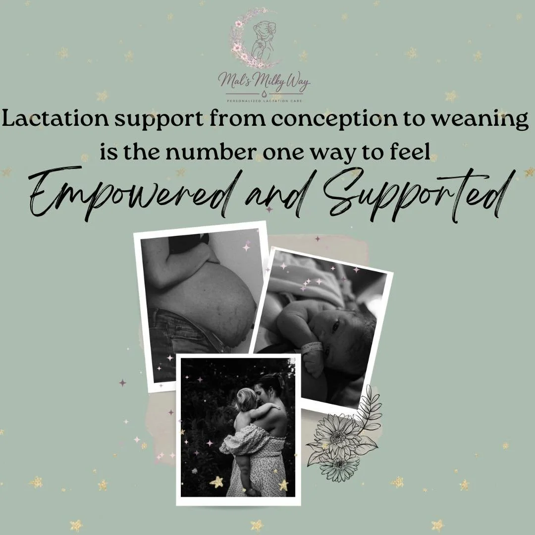 ✨TIP TUESDAY✨

Did you know MMW offers support from start to finish of your breastfeeding journey?!

That&rsquo;s right - it&rsquo;s our absolute FAVE when mamas establish care with us when they are still pregnant. 

We offer a lifecycle package for 