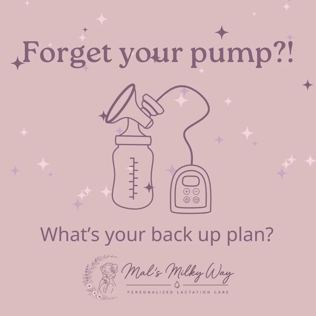 Happy ✨HUMP DAY PUMP DAY✨

This can really put a damper on your day. Do you have a back up plan? Share it in the comments!

#kaukauna #breastfeedingmom #ibclc #exclusivepumper #lactationeducation #pumpingmom #breastfeeding #BreastfeedingTips #Lactati