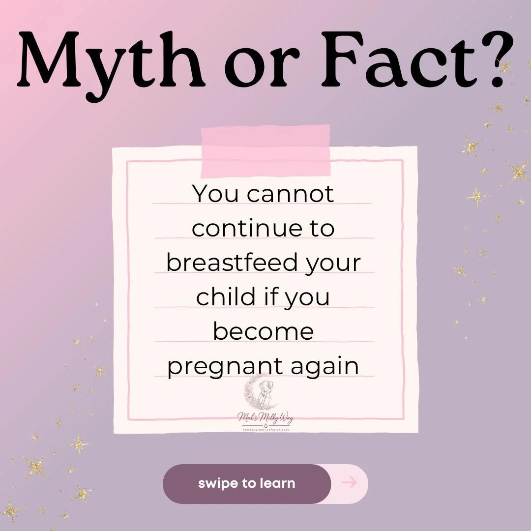 ✨Myth Monday✨

Currently nursing your little one and thinking about the next?

Many women are able to support pregnancy while breastfeeding!

- Yes, you can get pregnant while breastfeeding 🤪😉

Some things to consider:
-Lactation may affect your me