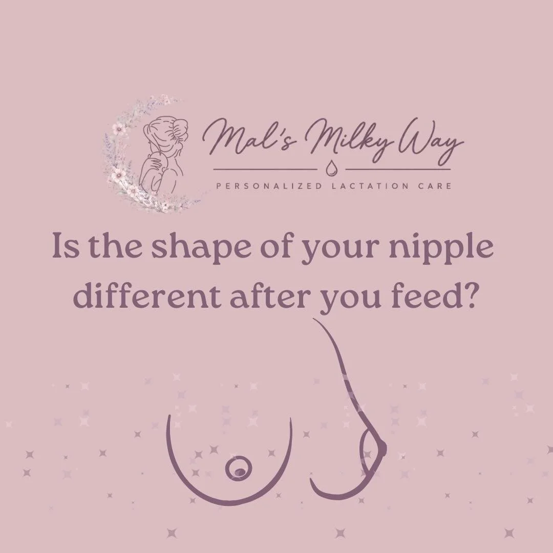 It&rsquo;s ✨TIP TUESDAY✨

And today we are quite literally talking about the tip of your nipple&hellip;.

Did you know that your nipple should look the same before and after a nursing session?

If it looks different (and/or you are having pain!!!) it