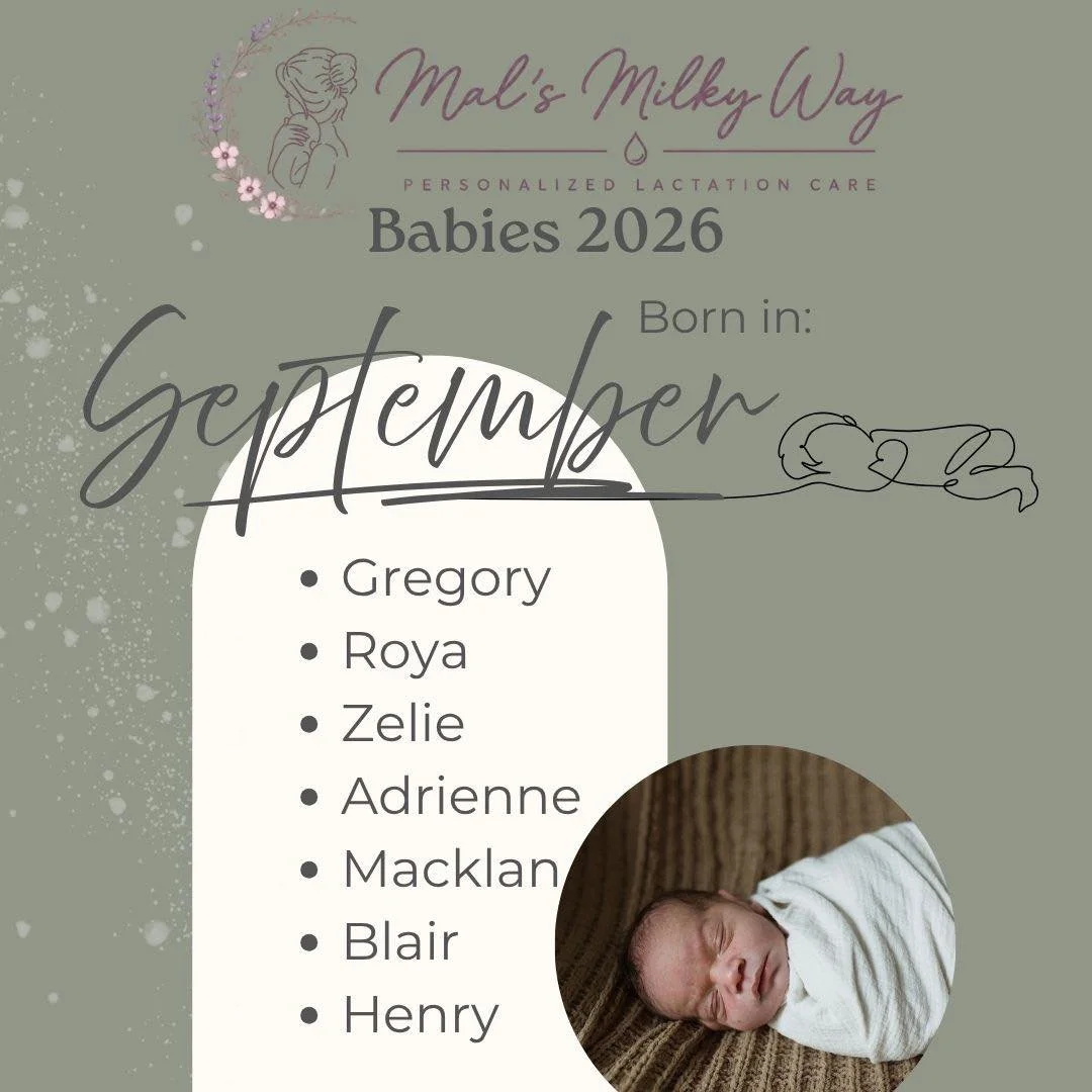 September was the perfect slow down after a crazy busy August, and it brought us the most perfect babies and sweetest families.

We are forever grateful for letting us be a small piece of your journey, and witness all the hard work and love you put i