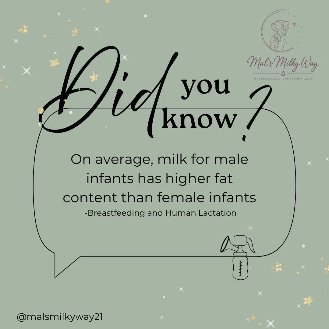 It's ✨FACT FRIDAY✨
Did you know this to be true?
Let's do our own little experiment in the comments... tell us if you had tons of fat separation in your milk and what sex your baby is! 
This shall be fun to see!

 #breastfeedingmom #ibclc #lactationc