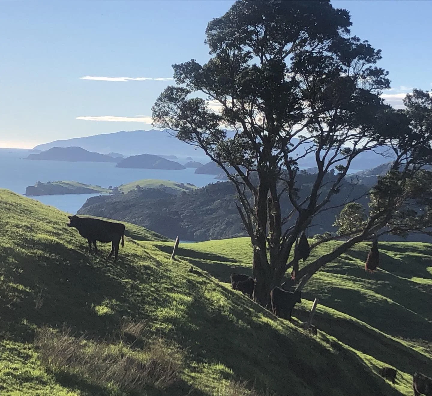 New Zealand just beautiful so lucky to be here:)