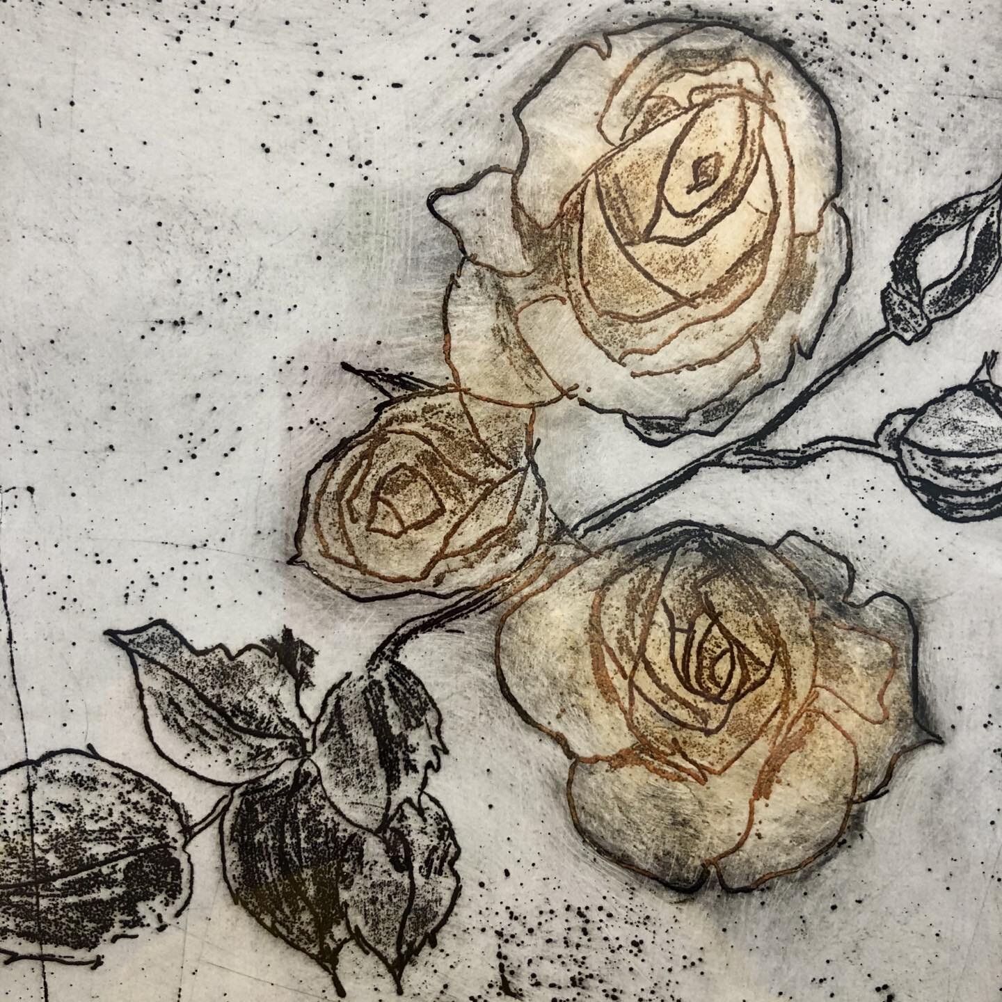 I couldn&rsquo;t photograph the whole print but this detail of an etching by Sabina Morrow is a hint of how beautiful it is. @artgalleryondarling #etching