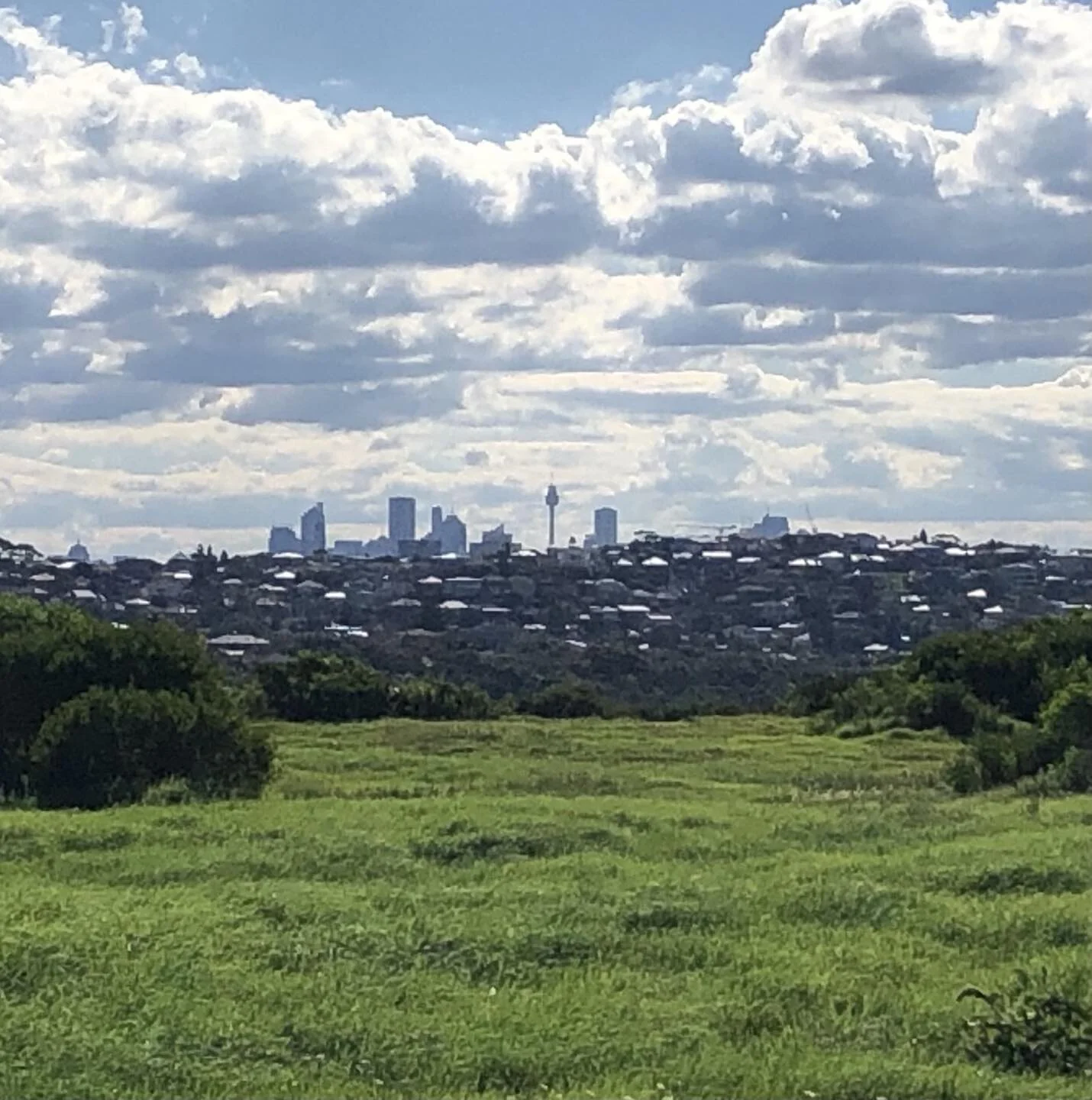 Moved out of the city to Malabar how lucky are we:)