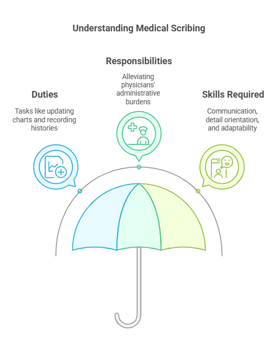 Medical Scribing vs. Medical Coding: Key Differences Explained