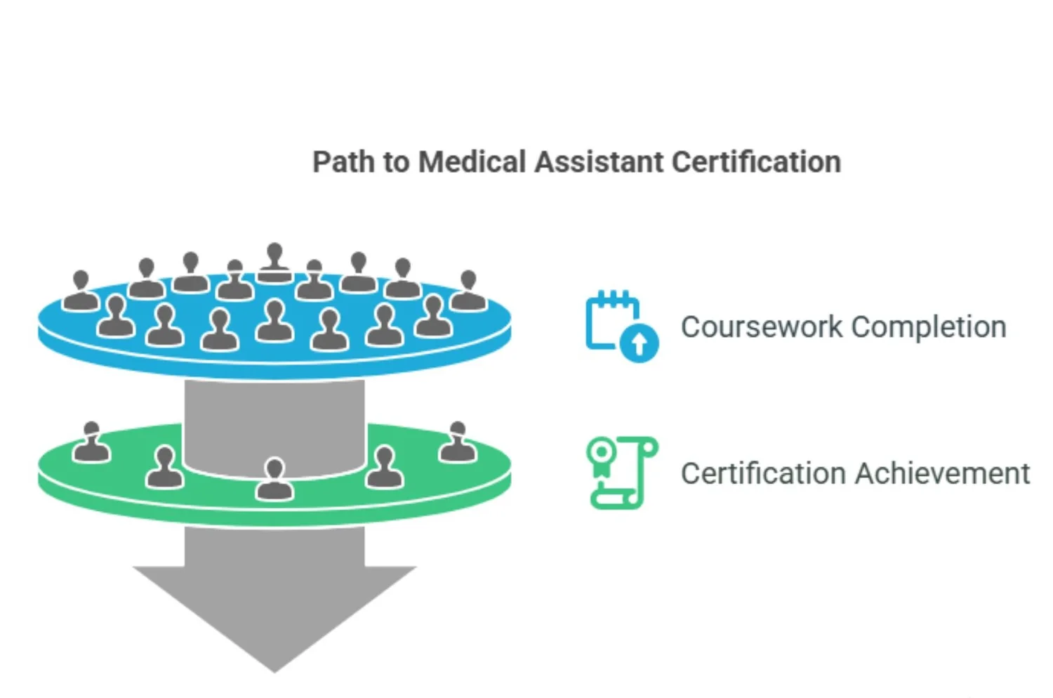 Medical Scribe Vs Medical Assistant Key Differences