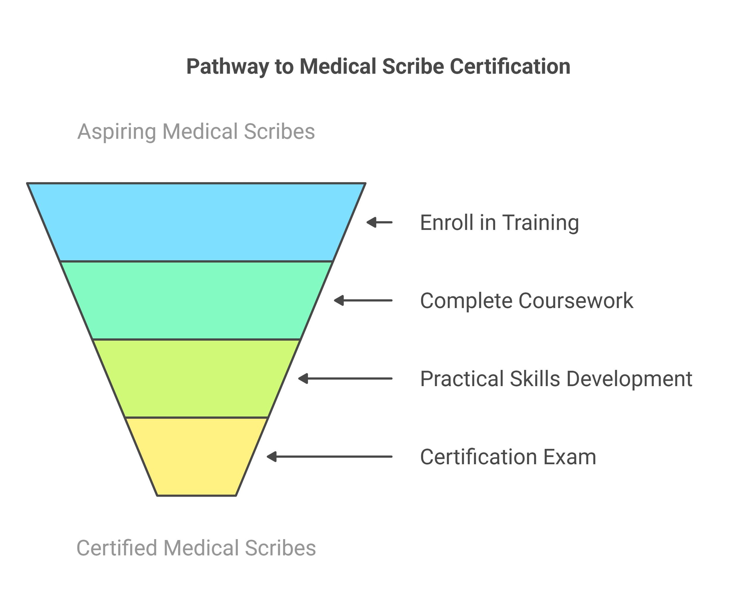 How to Become a Medical Scribe: The Ultimate Guide for 2025