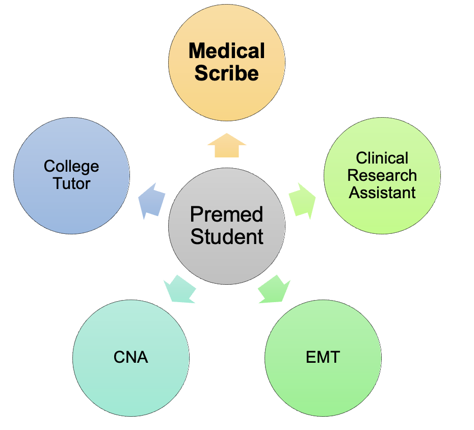 Medical Scribe Companies - Medical Scribes Training Institute