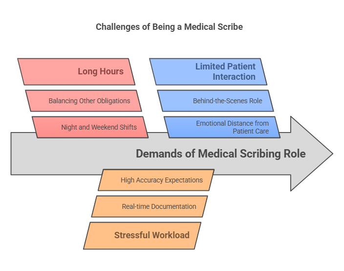 Evaluating the Worth of a Medical Scribe Career Path