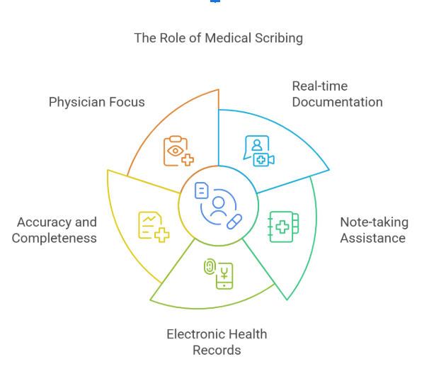 Scripting Medical Difference Between Medical Scribing and Medical Coding Explained