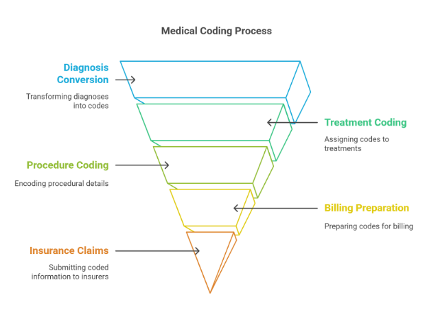 Medical Coding Letters Process Simple Difference Between Medical Scribing and Medical Coding Explained