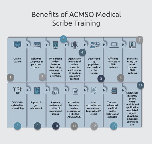 What Does a Medical Scribe Do? - Medical Scribes Training Institute