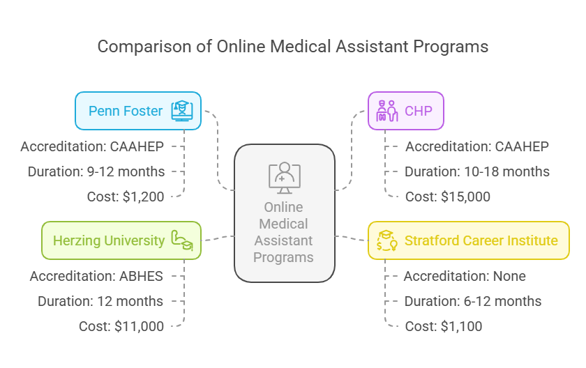Top Online Medical Assistant Programs for 2025