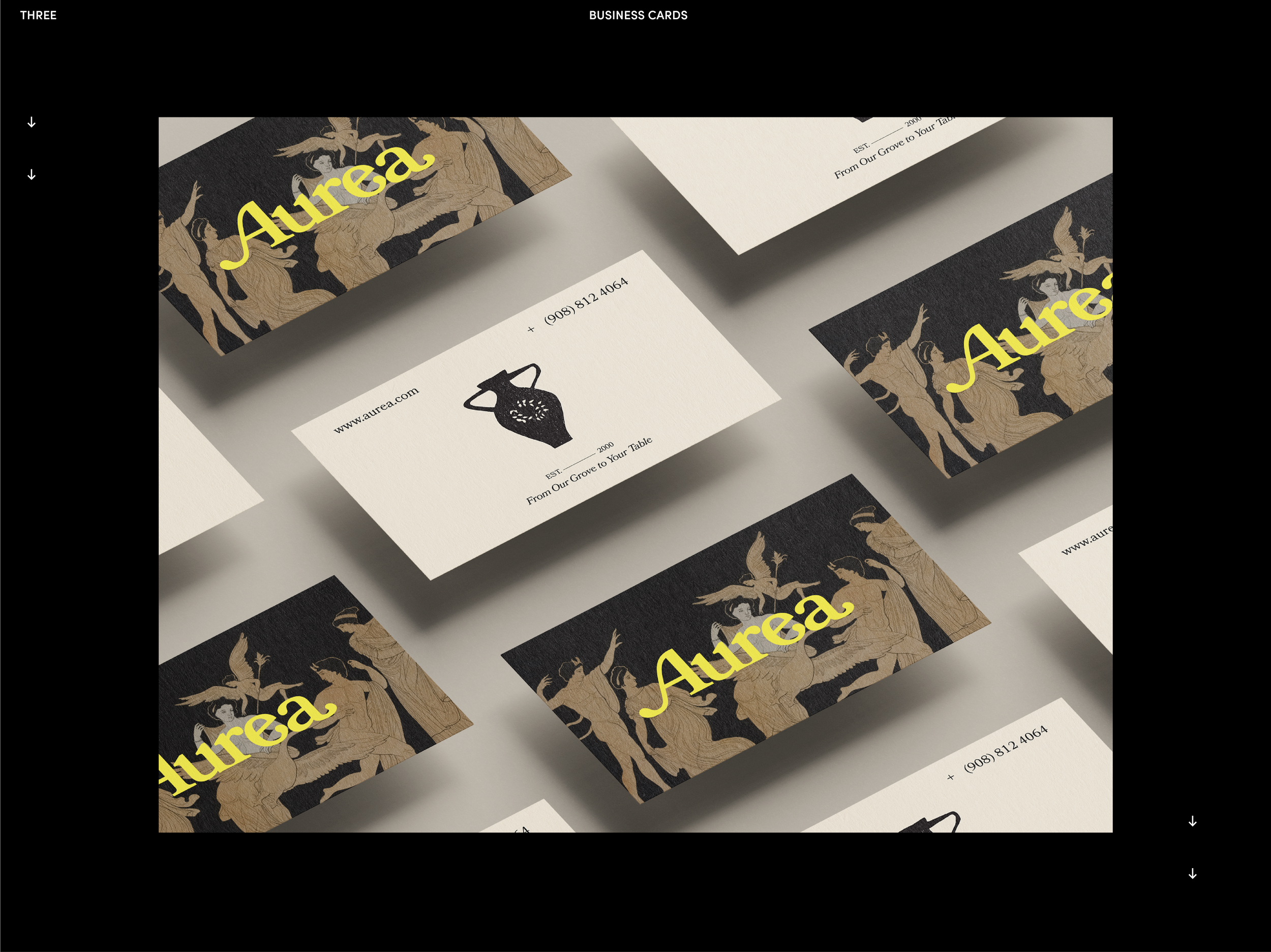 aurea_portfolio2-6-05.png
