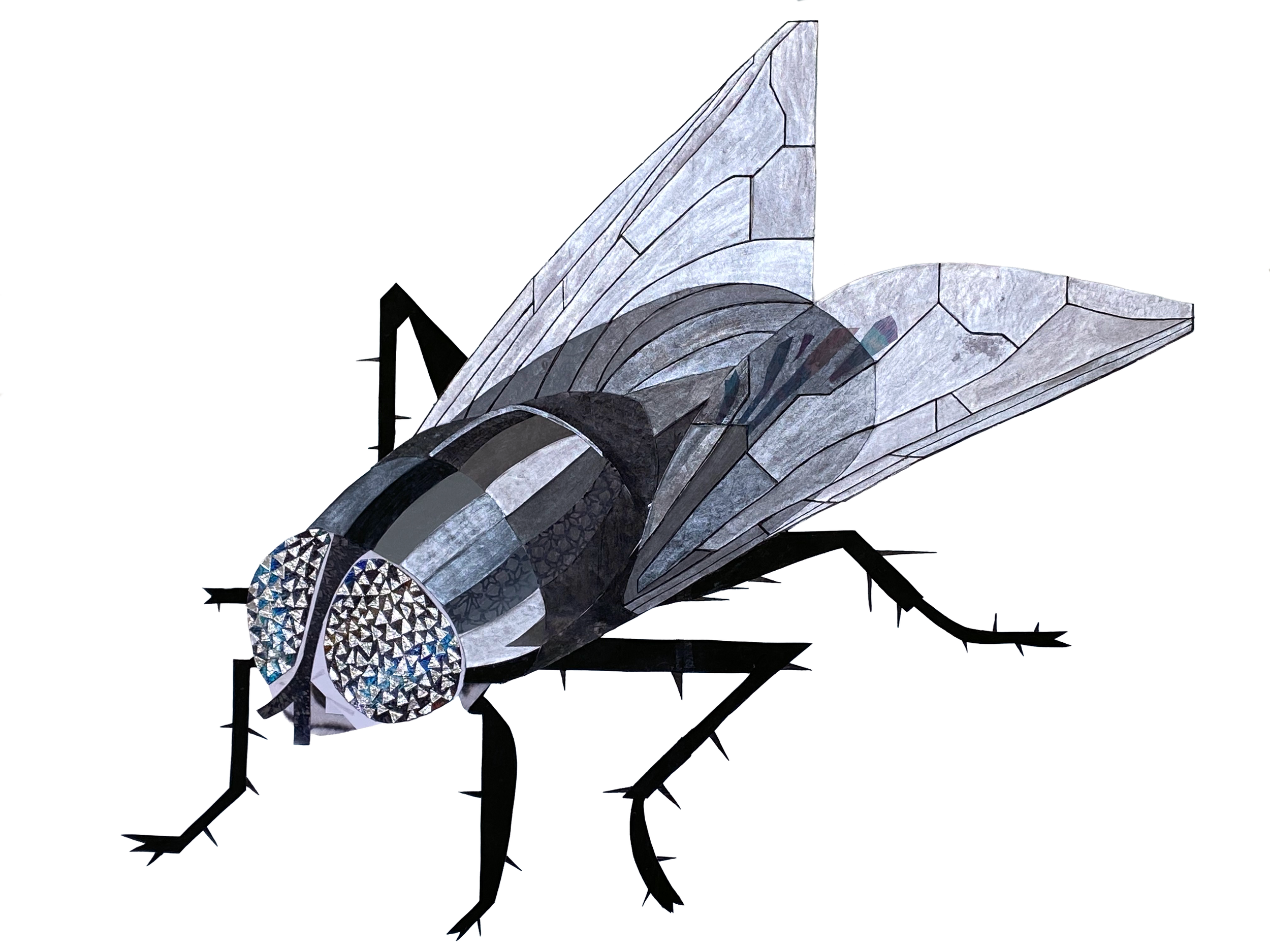 flywhite.png