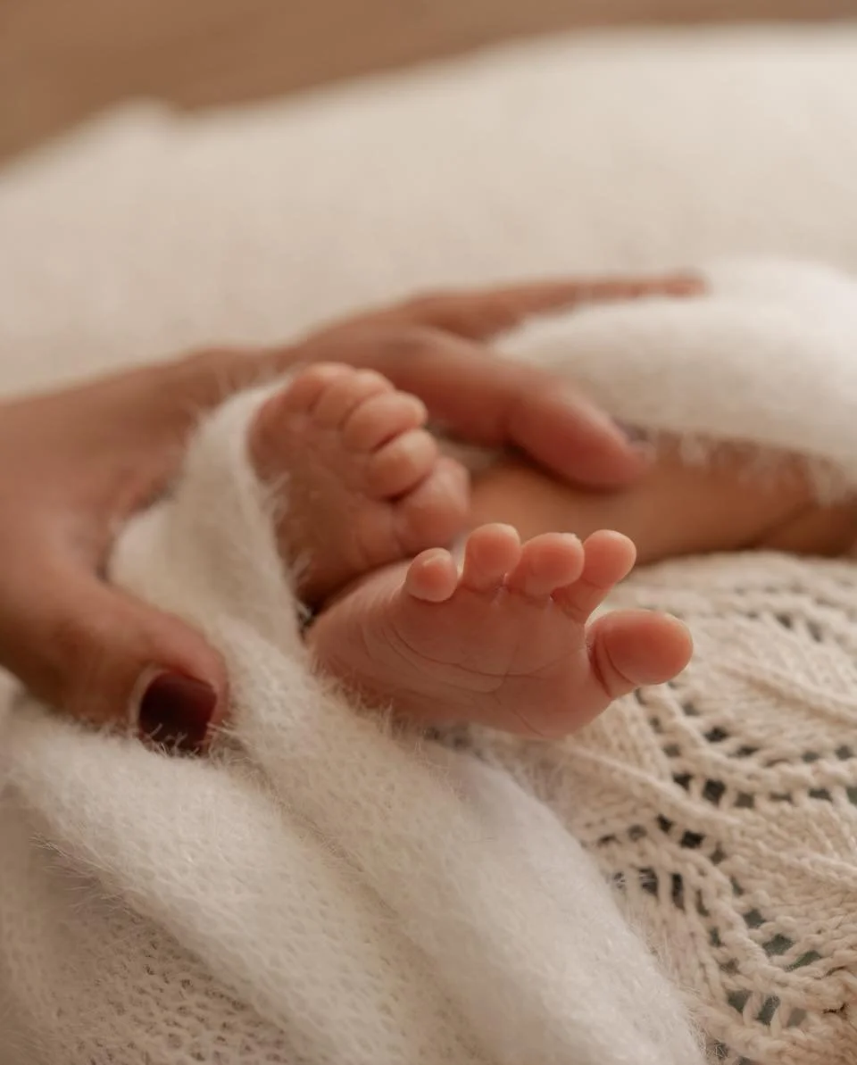 The tiniest toes and sweetest little details 🤍 It&rsquo;s always the small things that make newborn sessions so magical
.
.
.
.
.
#photographer #newborn #newbornphotography #echucaphotographer #photooftheday #newbornbaby #photography