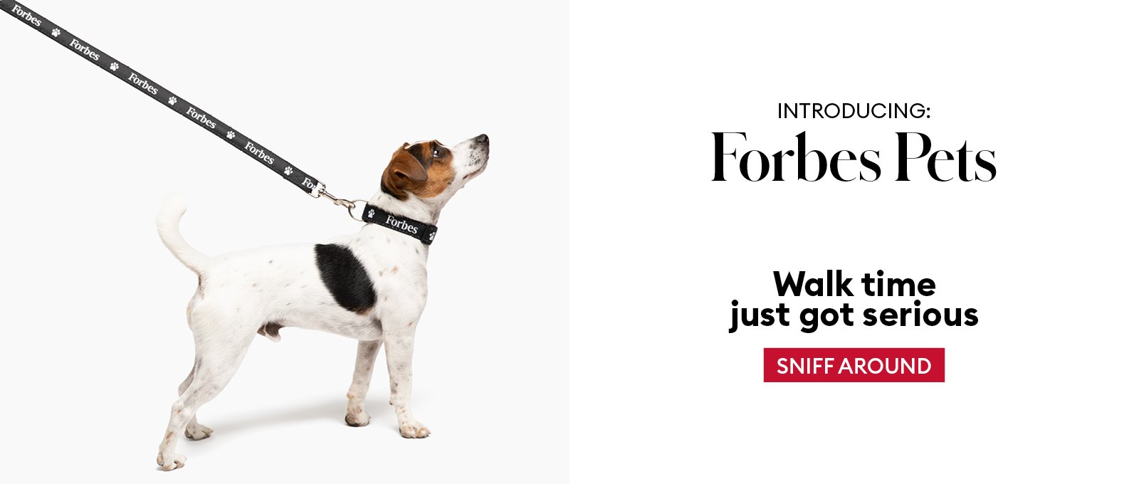 forbes-marketing-banners_02.jpg