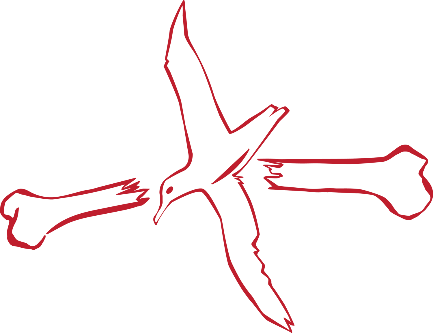 Albatross Designs Group