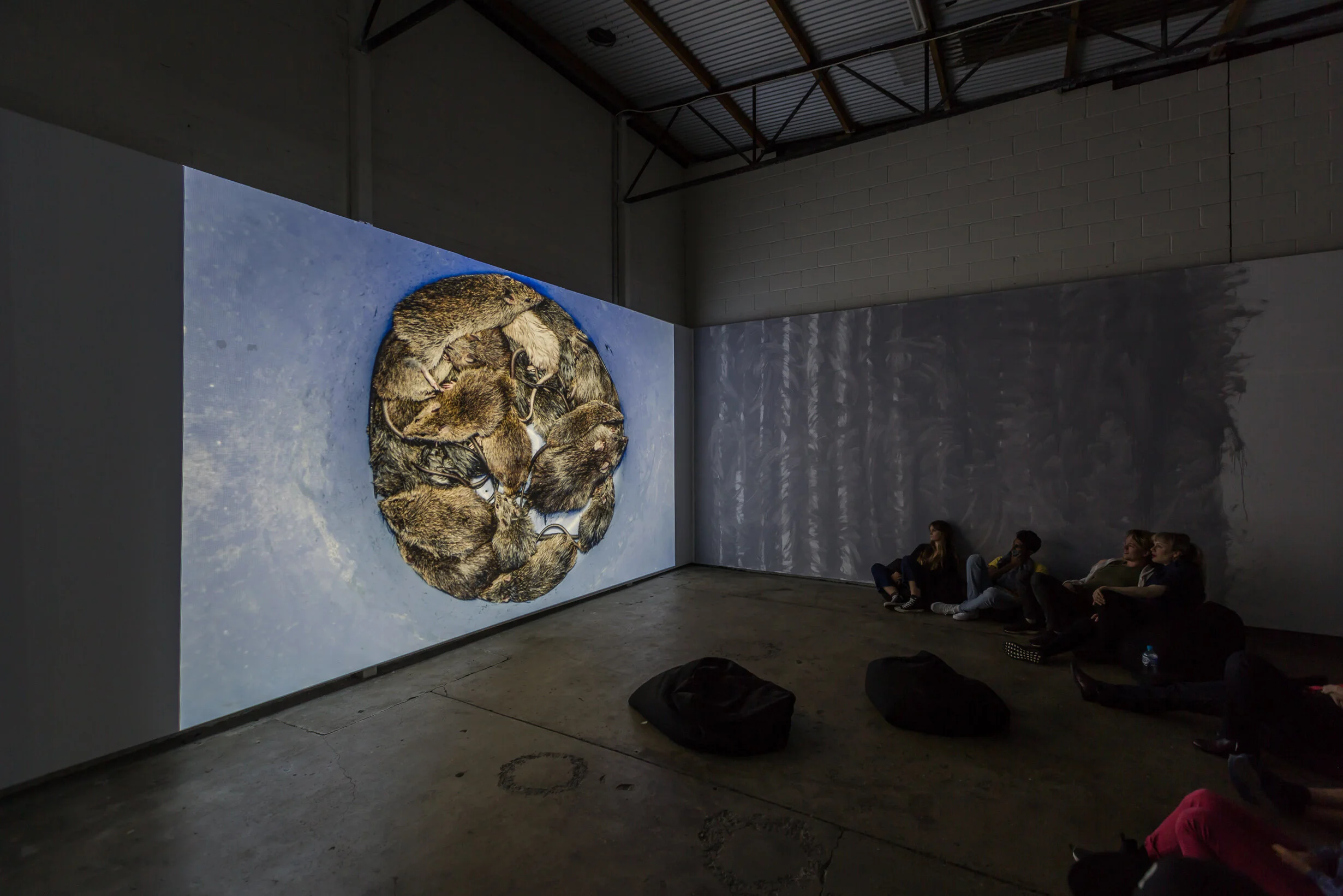 Screening at The Walls, Miami QLD 
4 May 2019 
Image: Chris Bennie 