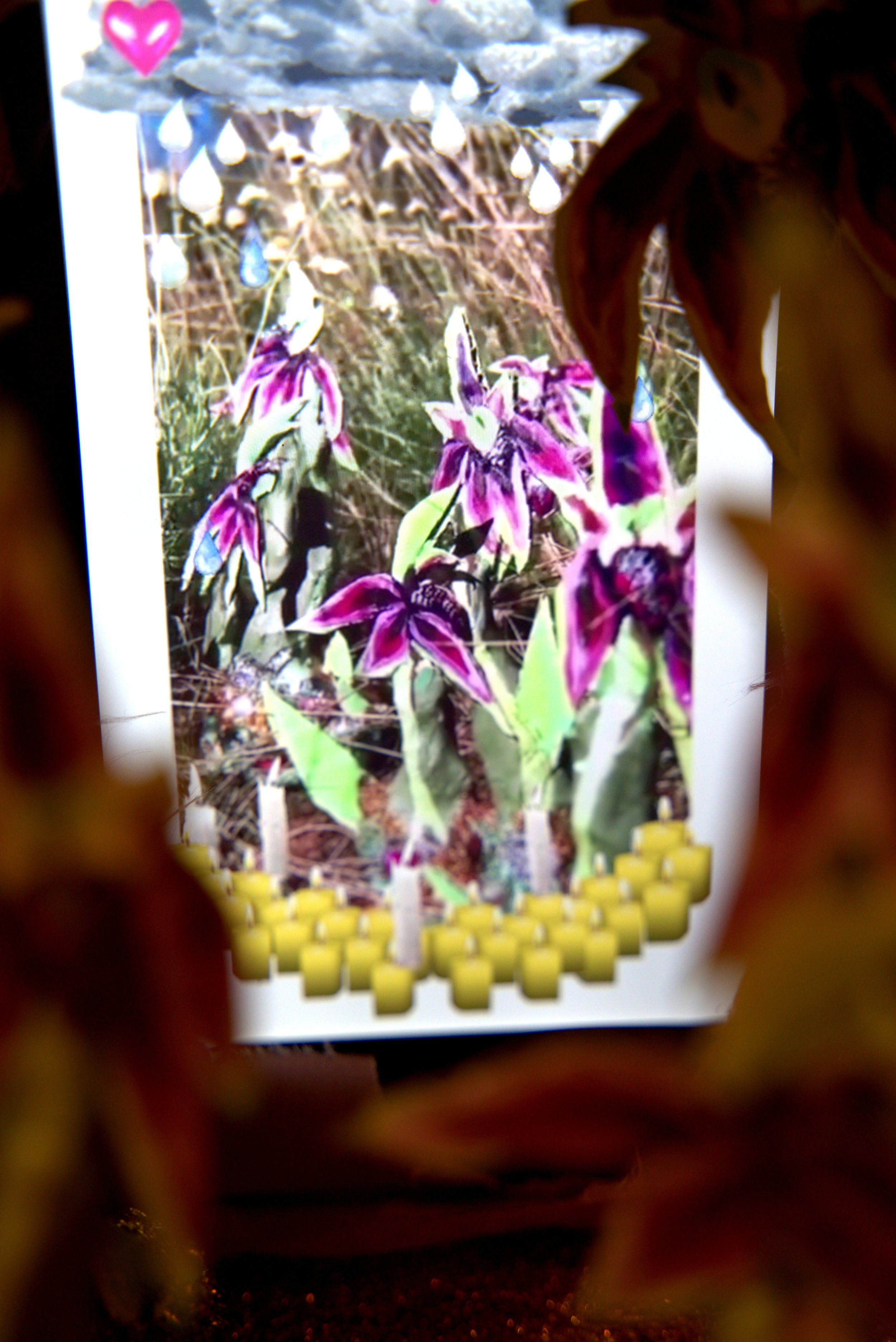 Detail of Emma Rani Hodges 'Last year it rained more than I had ever seen here, new flowers bloomed from the graves of dead trees and I learnt to tread more lightly - my heart became tender as I searched for the myth of you, my dear spider orchid' 20