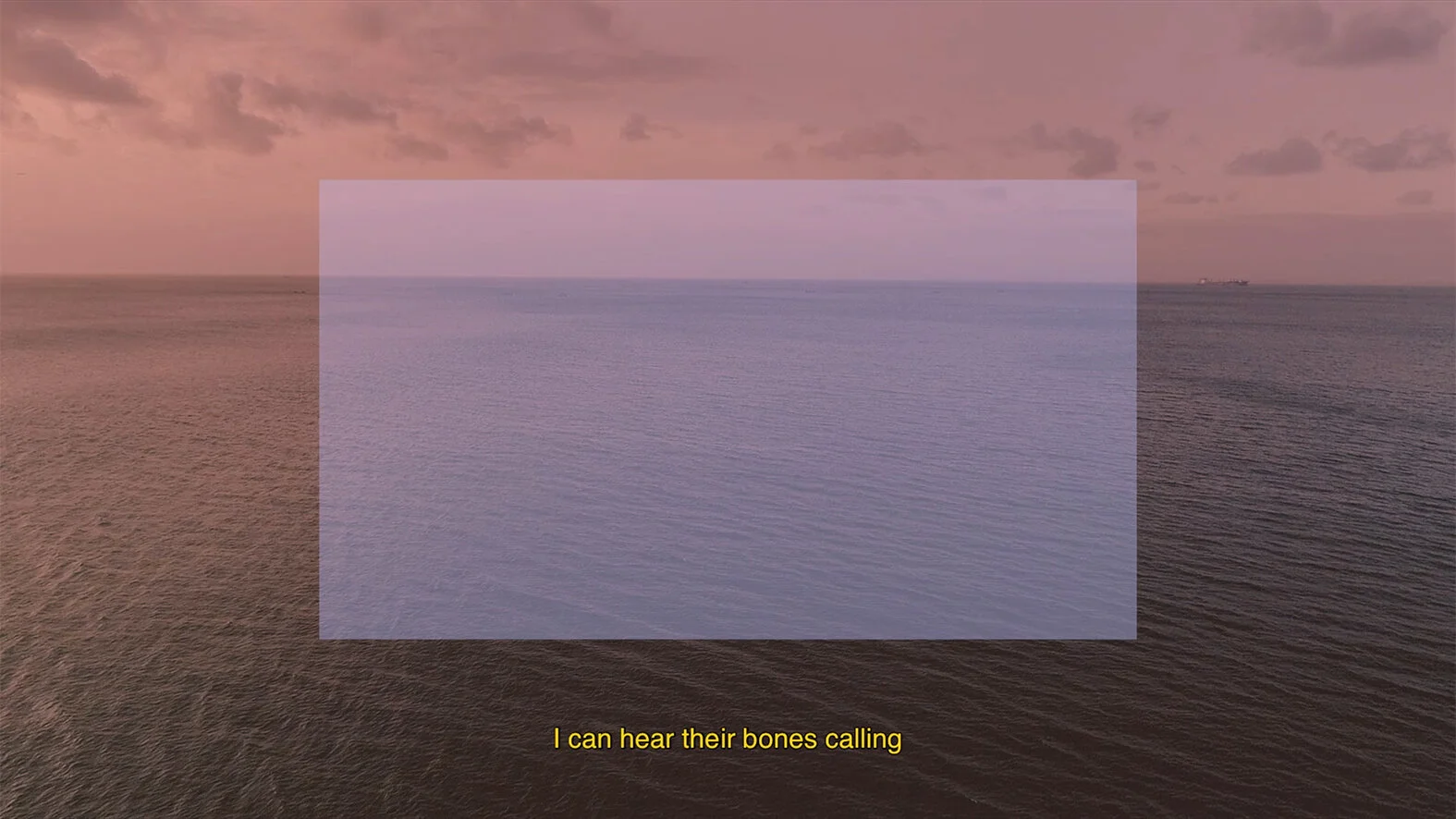 04_HungrySea (1).jpg