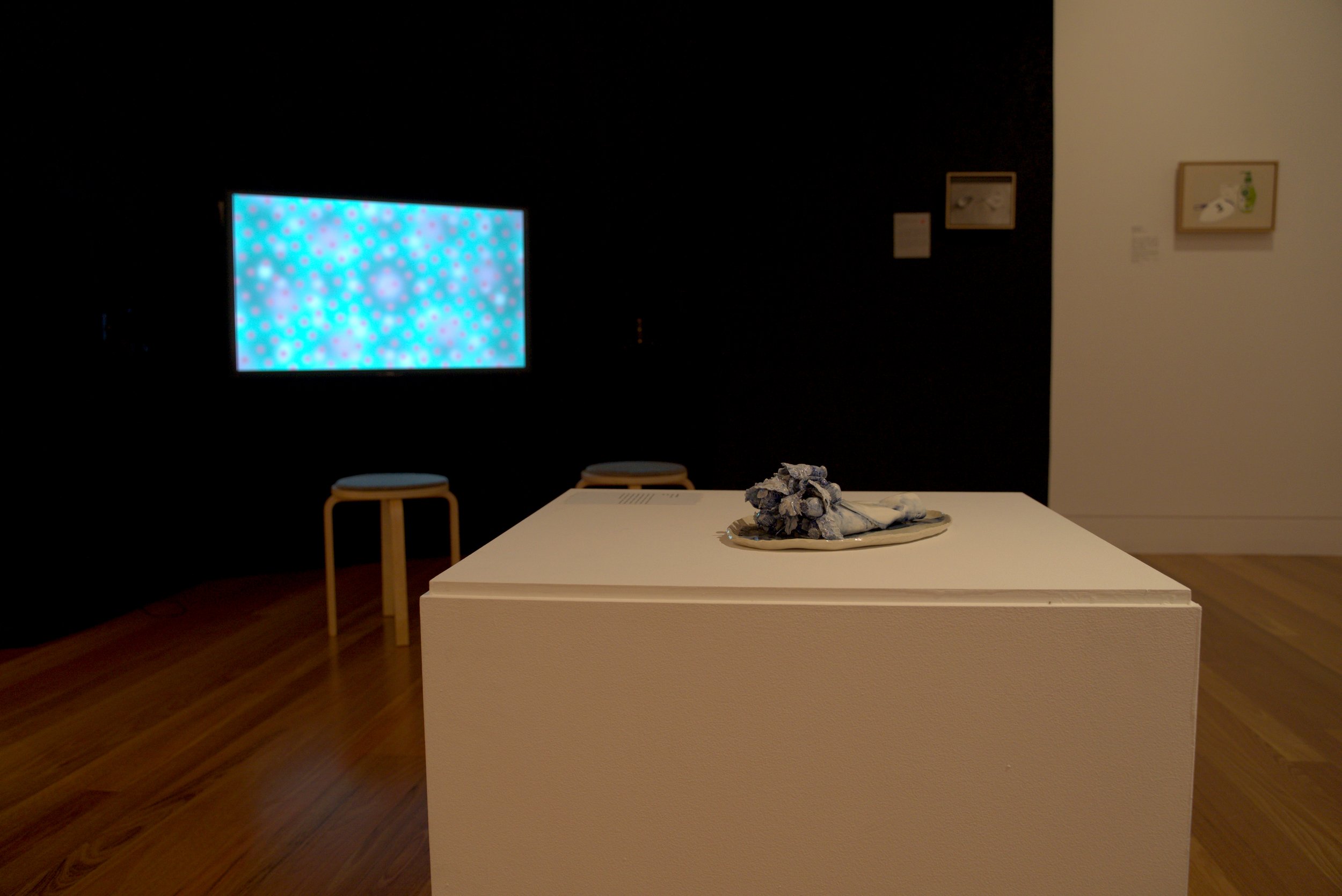 Image: Coffs Harbour Regional Gallery