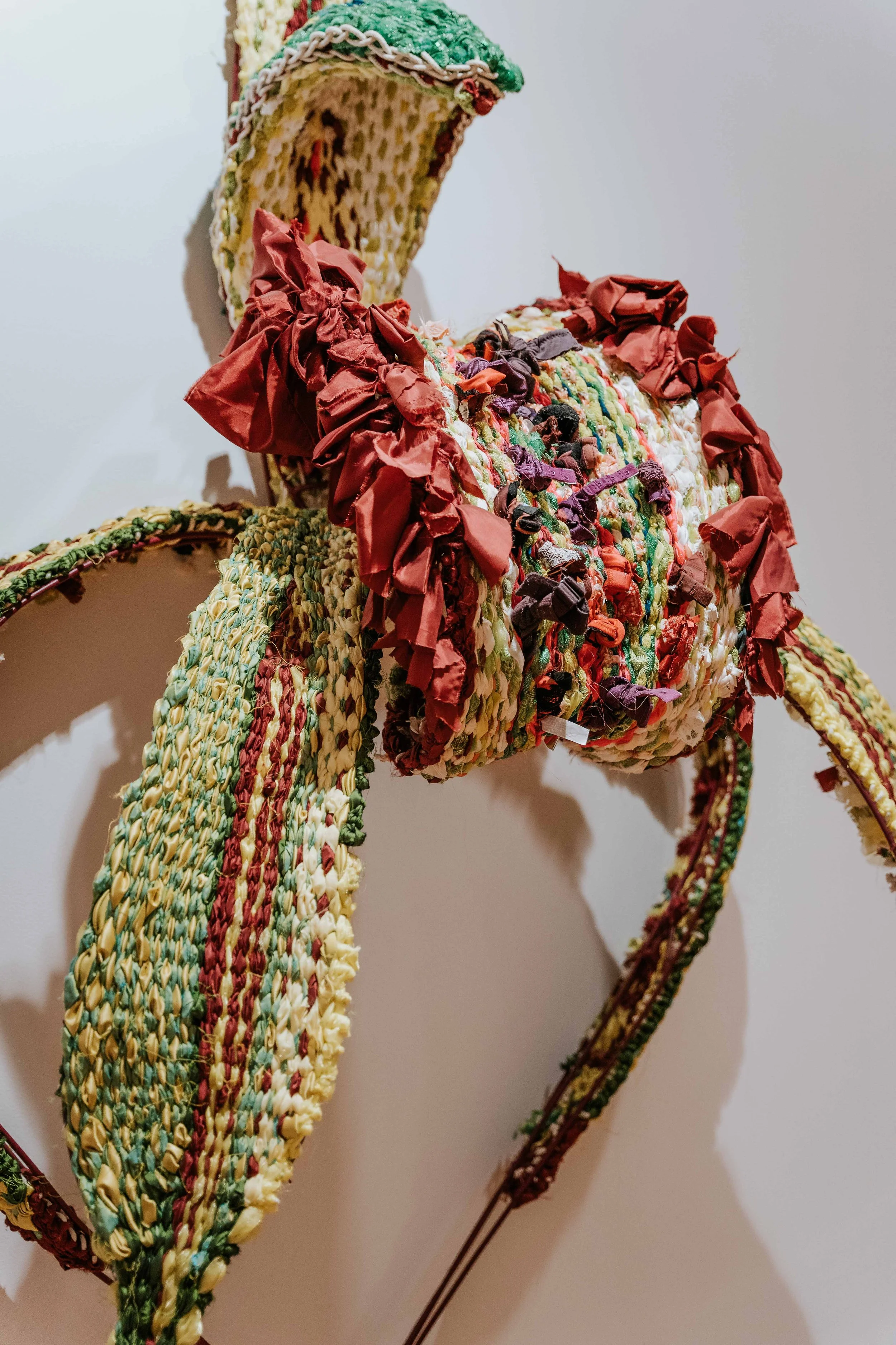 Charlotte Haywood "It's Now or Never...Caladenia audasii" 2019
Image: Fire&Fly Media