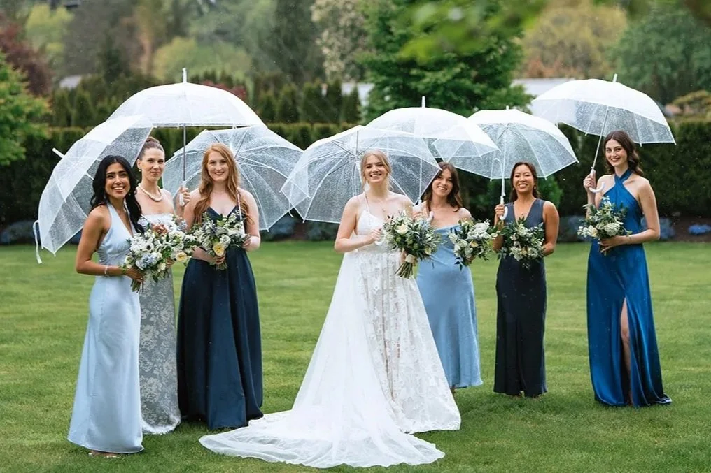 100 clear umbrellas