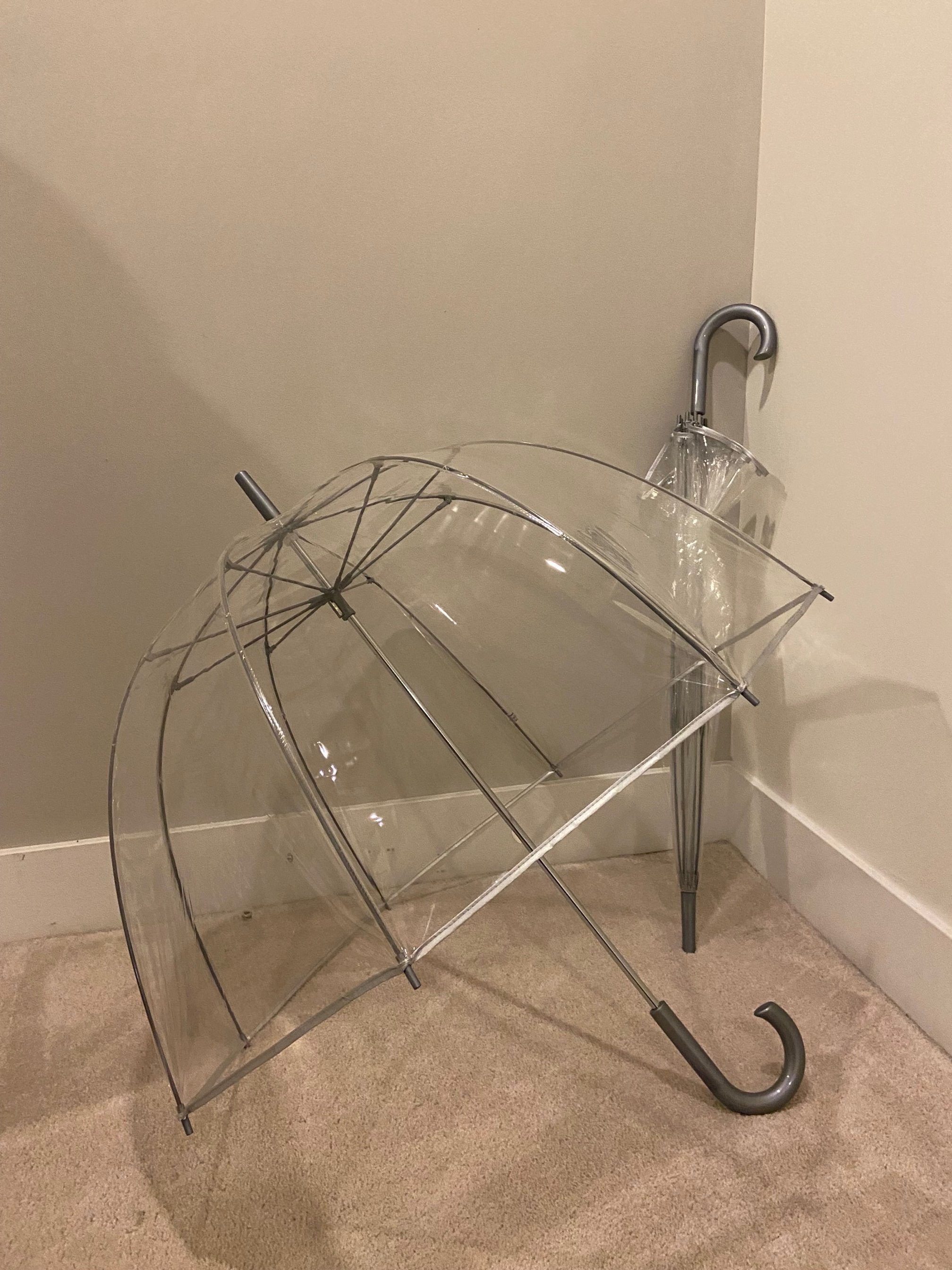 100 clear umbrellas