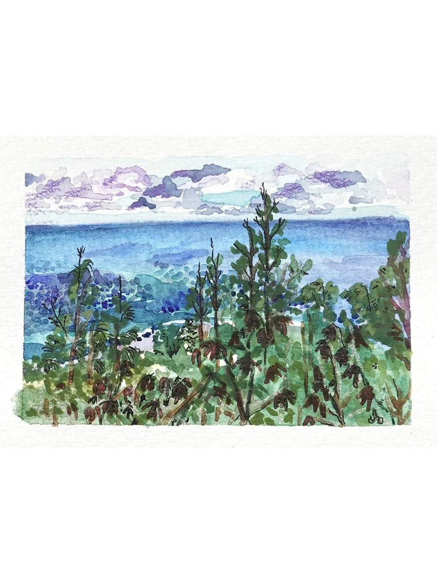 Pill box hike top view- Print 8x10