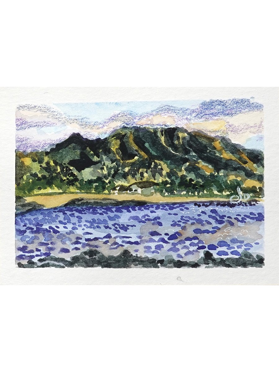 Pua’ena beach point park - Print 8x10