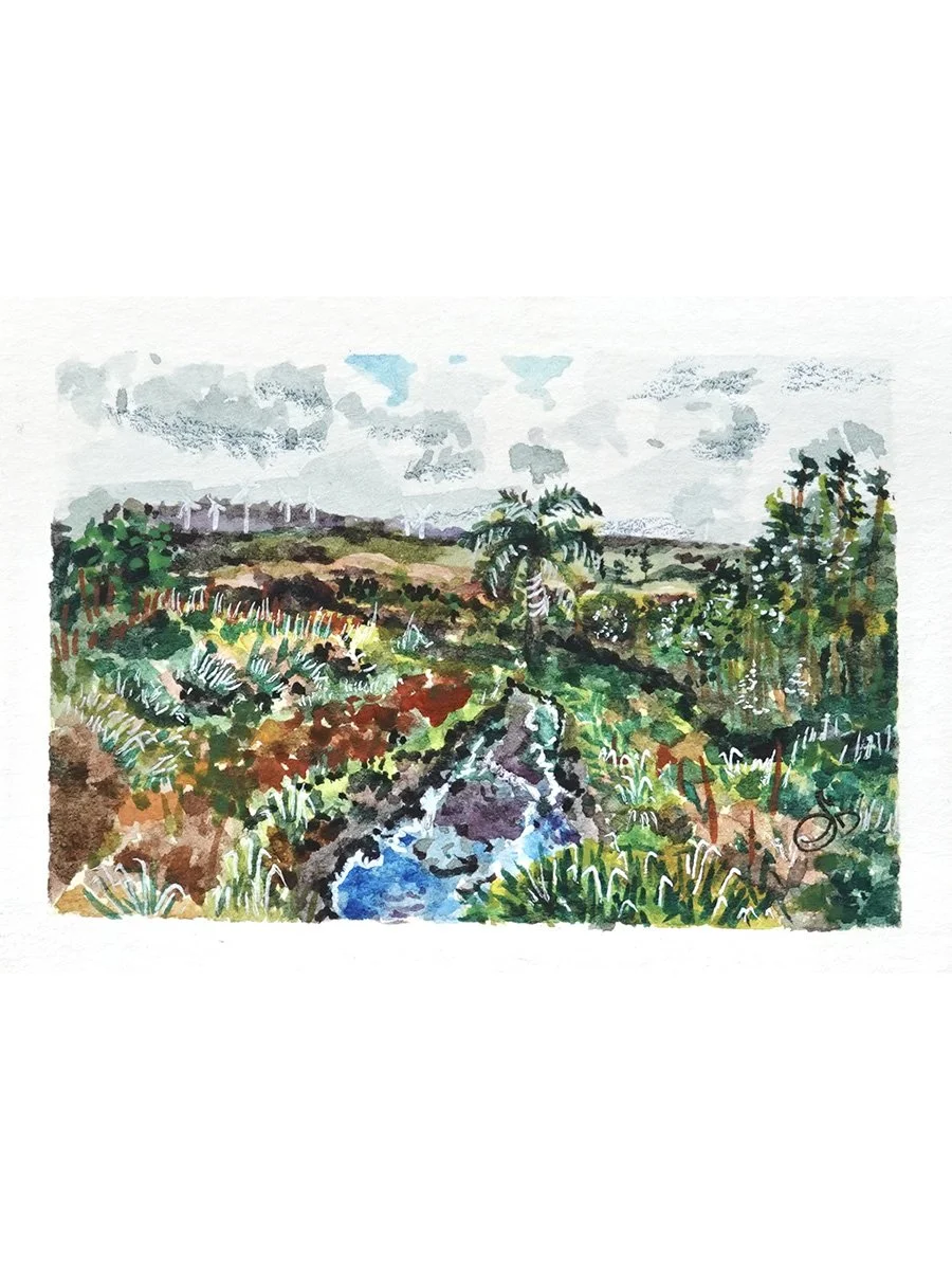 Canal on Paalaa road - Print 8x10