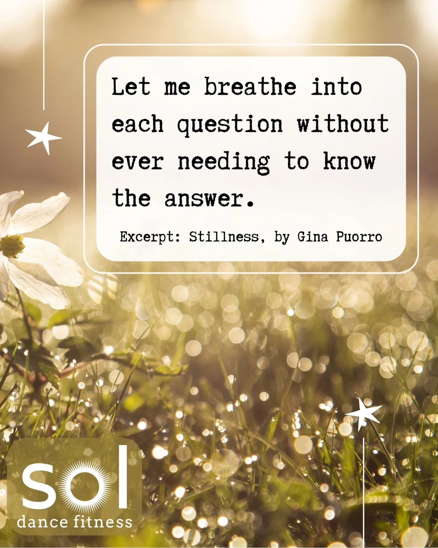Stillness
by Gina Puorro

Let me be an apprentice to stillness.
Let me be an open vessel
filling with the vastness of each moment
overflowing with every
loving
grieving
lustful
painful
ecstatic
aching
raw
sensation.
Moments that
birth and die
contrac